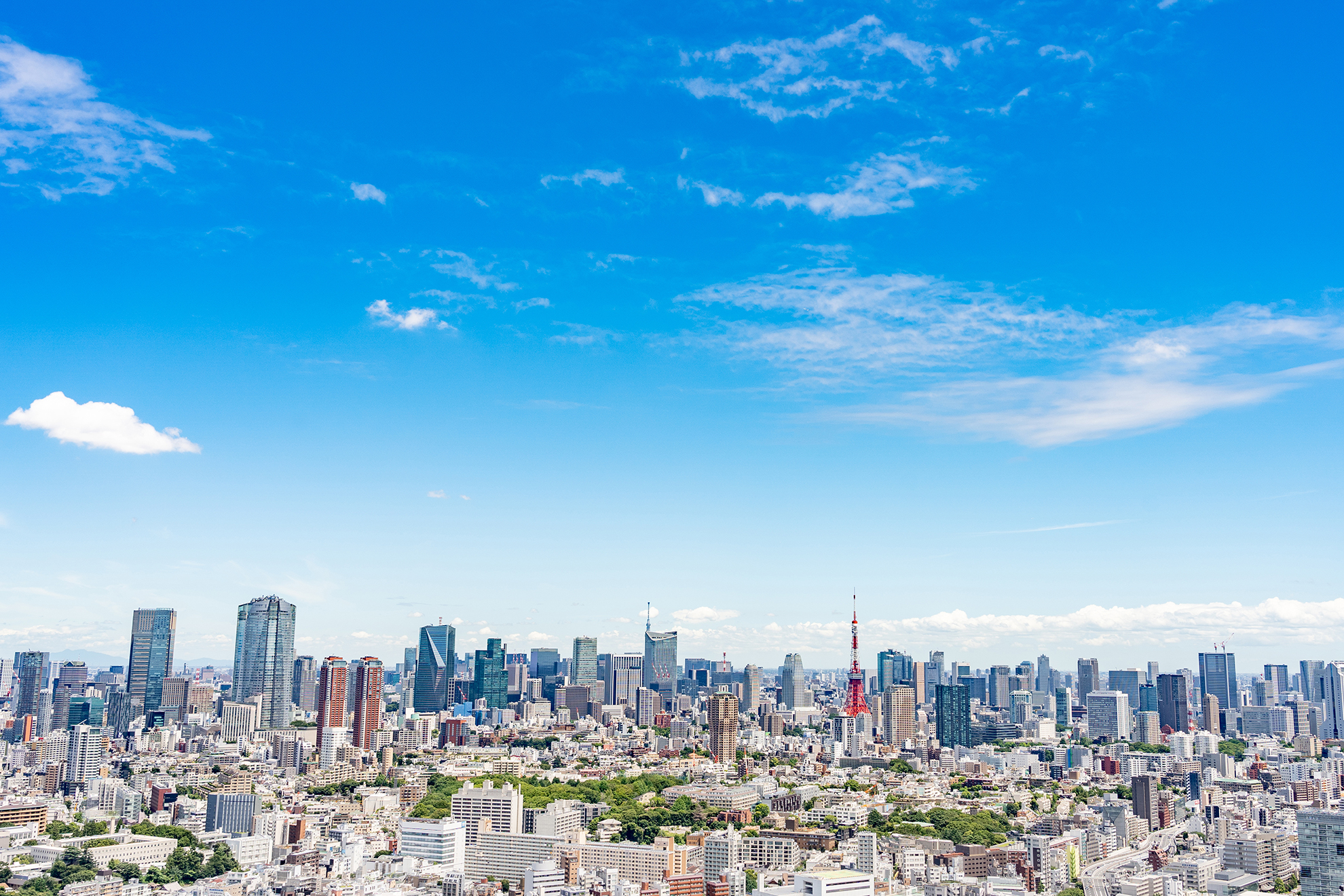 ホームページ公開のご案内